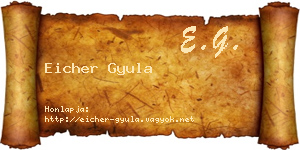 Eicher Gyula névjegykártya
